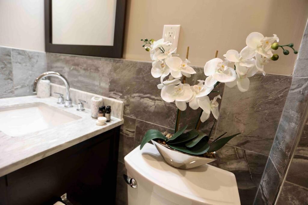 504 Luxe 1Bdr Apt In Center City Filadelfia Esterno foto